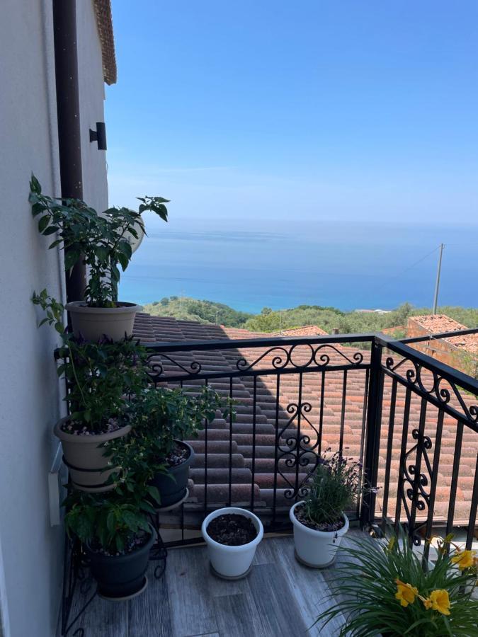 Appartement Il Panorama à Buonvicino Extérieur photo